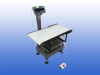 mettler toledo weegschaal unit +Transporband gebruikt