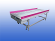 Aangedreven Rollenbaan gebruikt 120 cm AMI