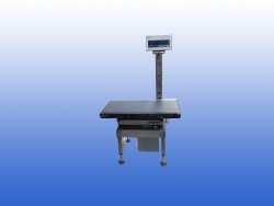 mettler toledo weegschaal unit +Transporband gebruikt