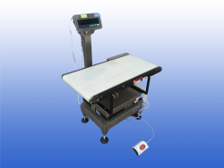 mettler toledo weegschaal unit +Transporband gebruikt